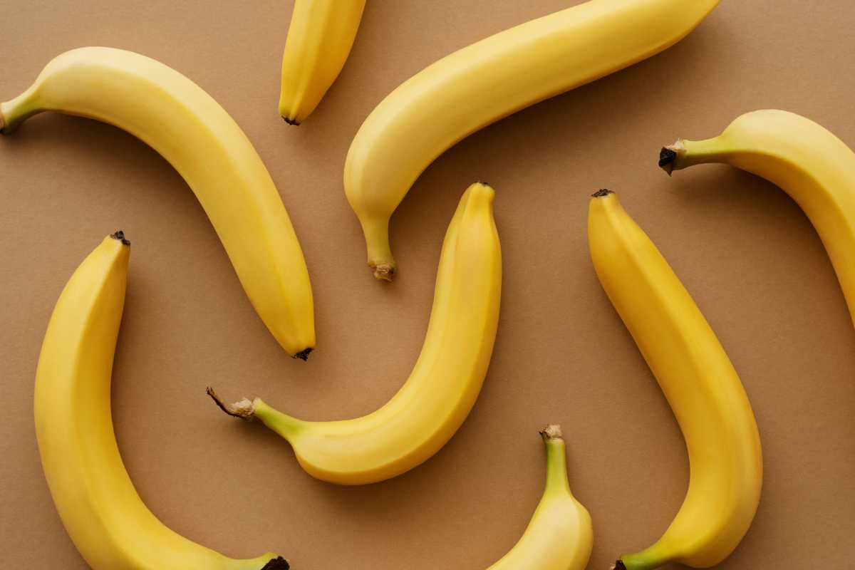 Régime alimentaire et calculs biliaires quelle place pour la banane (1)